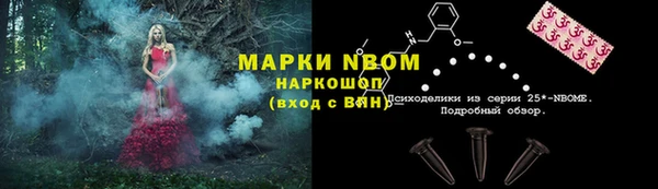 прущие грибы Белокуриха