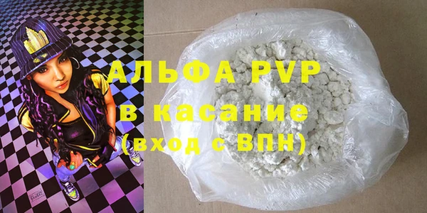 прущие грибы Белокуриха