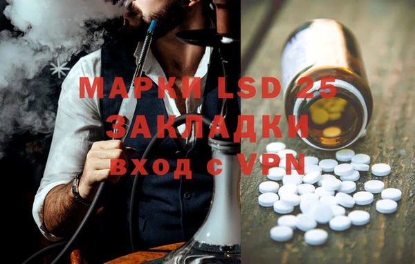 прущие грибы Белокуриха