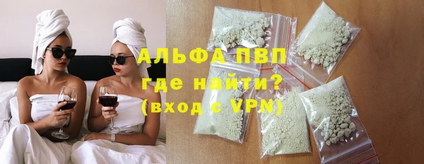 прущие грибы Белокуриха